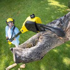 Mulching Services in Alto, TX